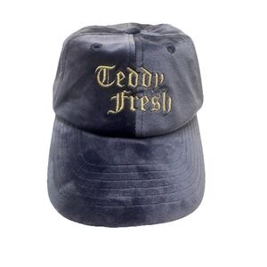 Teddy Fresh Blue Velvet Velour Strapback Adjustable Hat Cap Embroidered Logo